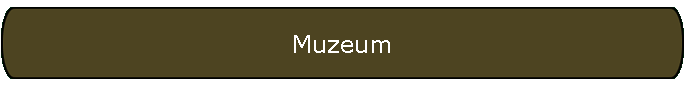 Muzeum
