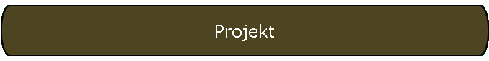 Projekt