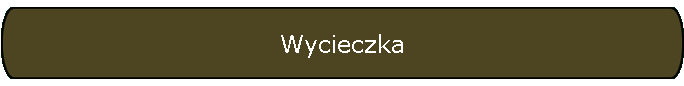Wycieczka